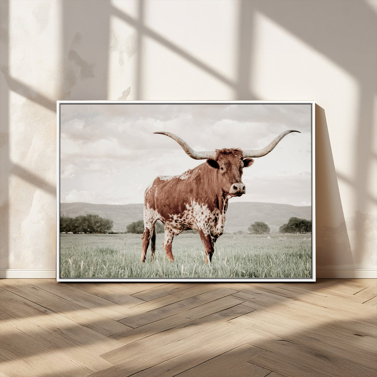 Texas Longhorn Wall Art | Framed Spotted Cattle Canvas