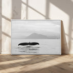 Whale Tail Wall Art | Framed Black White Ocean Canvas