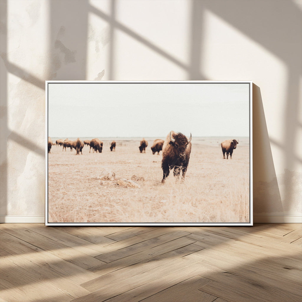 Bison Herd Wall Art Canvas Print, Framed Western Prairie Serenity