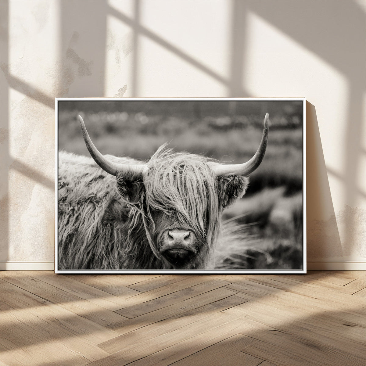 Cow Focus Canvas Wall Art Print