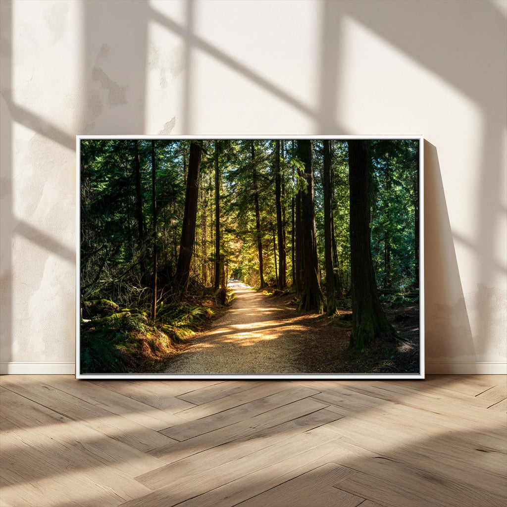 Sunlit Forest Pathway Canvas Print | 3 Panel Large Nature Wall Art