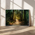 Sunlit Forest Pathway Canvas Print | 3 Panel Large Nature Wall Art