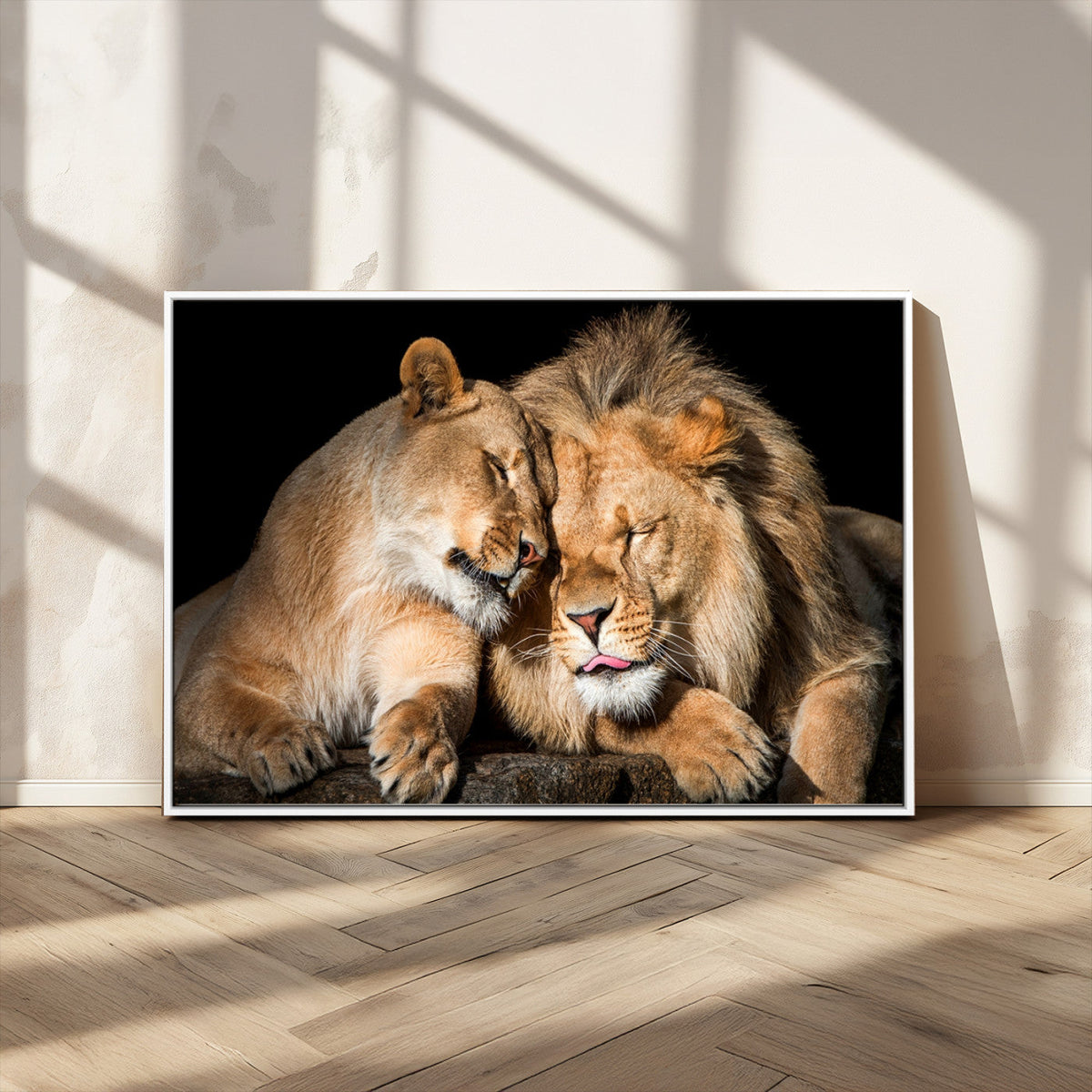 Lion and Lioness Wall Art Canvas Print | African Wildlife Animal Art