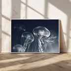 Jellyfish Wall Art Canvas Print, Modern Abstract Jellyfish