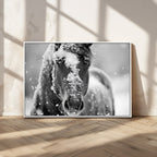 Black and White Horse Winter Wall Art, Ready to Hang