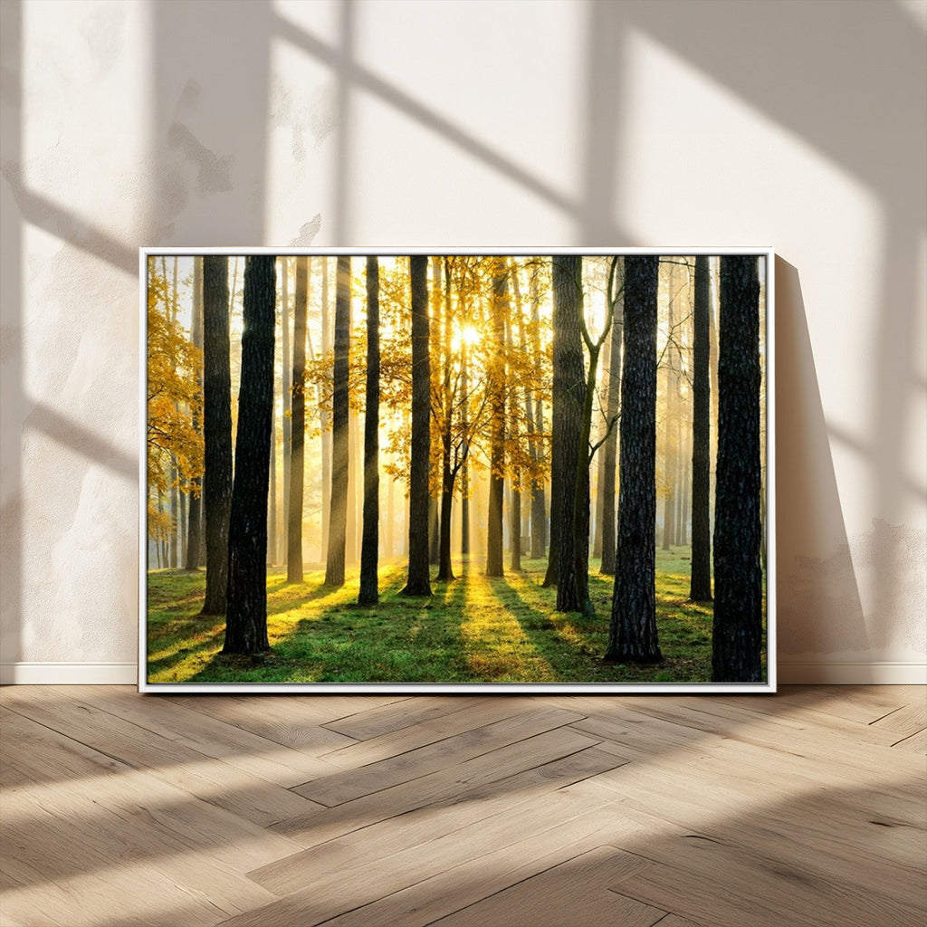 Sunlit Forest Wall Art Canvas Print, Large Framed Woodland Scene with Golden Light