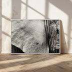 Elephant Wall Art Canvas Print