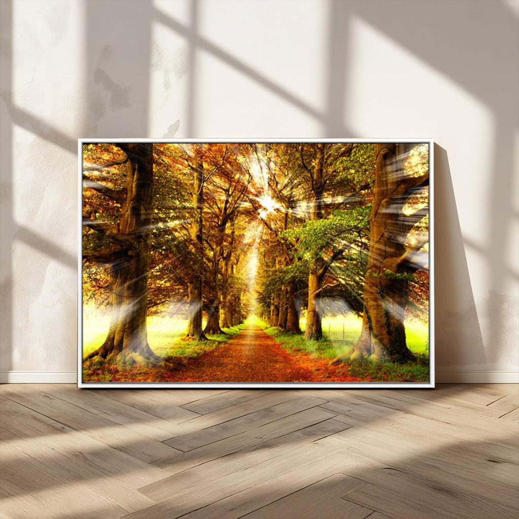 Sunshine in Forest and Trees Wall Art Canvas Print
