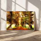 Sunshine in Forest and Trees Wall Art Canvas Print
