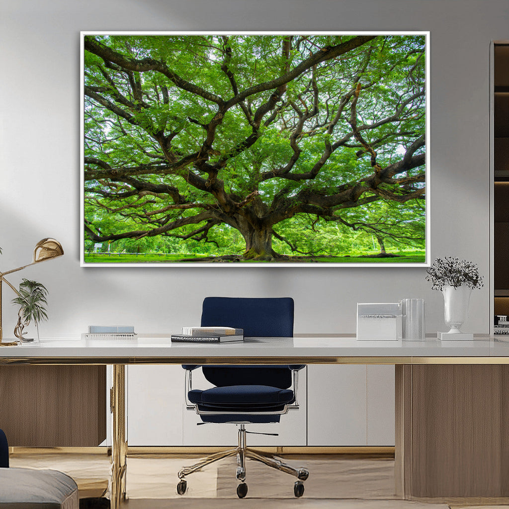 Ancient Tree Wall Art Canvas Print, Framed Sprawling Branches
