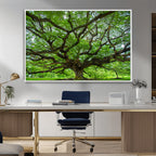 Ancient Tree Wall Art Canvas Print, Framed Sprawling Branches