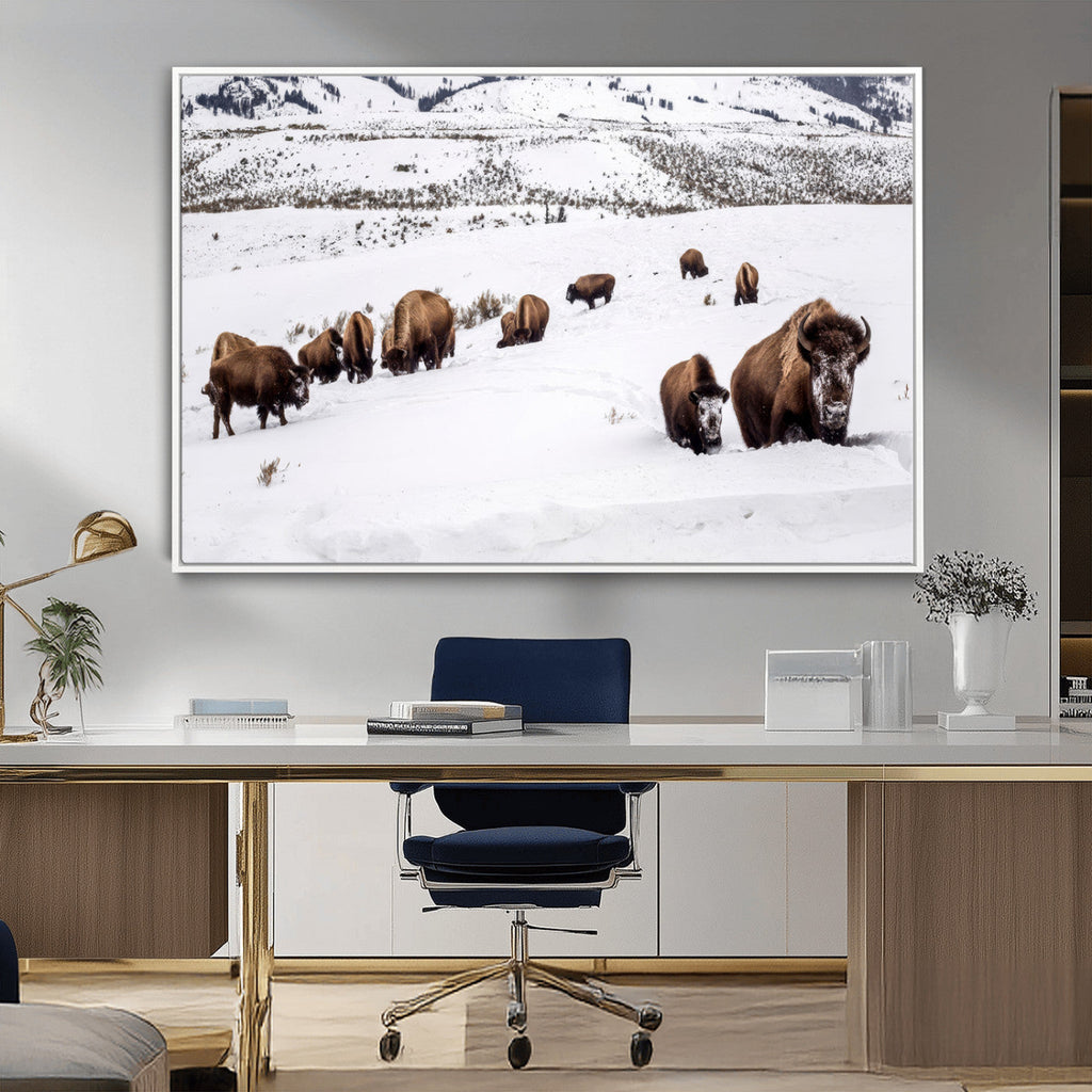 Bison Herd Wall Art Canvas Print, Framed Western Wildlife Decor, Snowy Mountain Valley