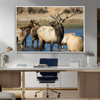 Wild Elk Wall Art Canvas Print, Framed Neutral Wildlife Scene