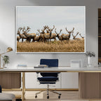 Elk Herd Wall Art Canvas Print, Framed Wildlife Photography Art, Majestic Antlers Rustic Wildlife Decor