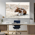 Majestic Longhorn Wall Art Canvas Print, Resting on Sunlit Desert Ground