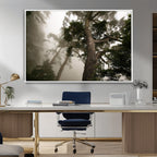 Misty Forest Wall Art Canvas Print, Framed Tall Trees in Foggy Atmosphere