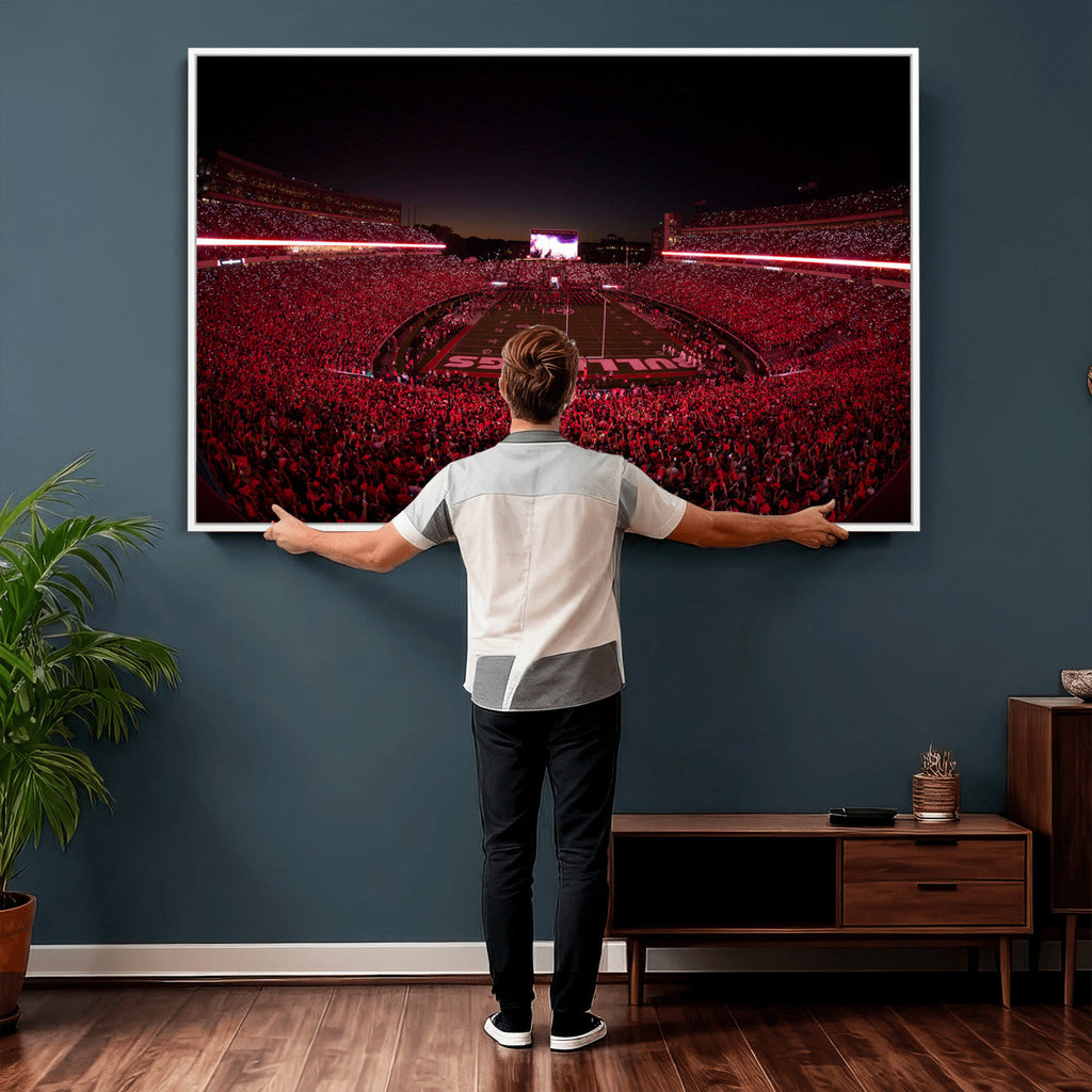 Dooley Stadium Wall Art, Sports Arena Canvas Print, Dooley Field Sanford Stadium