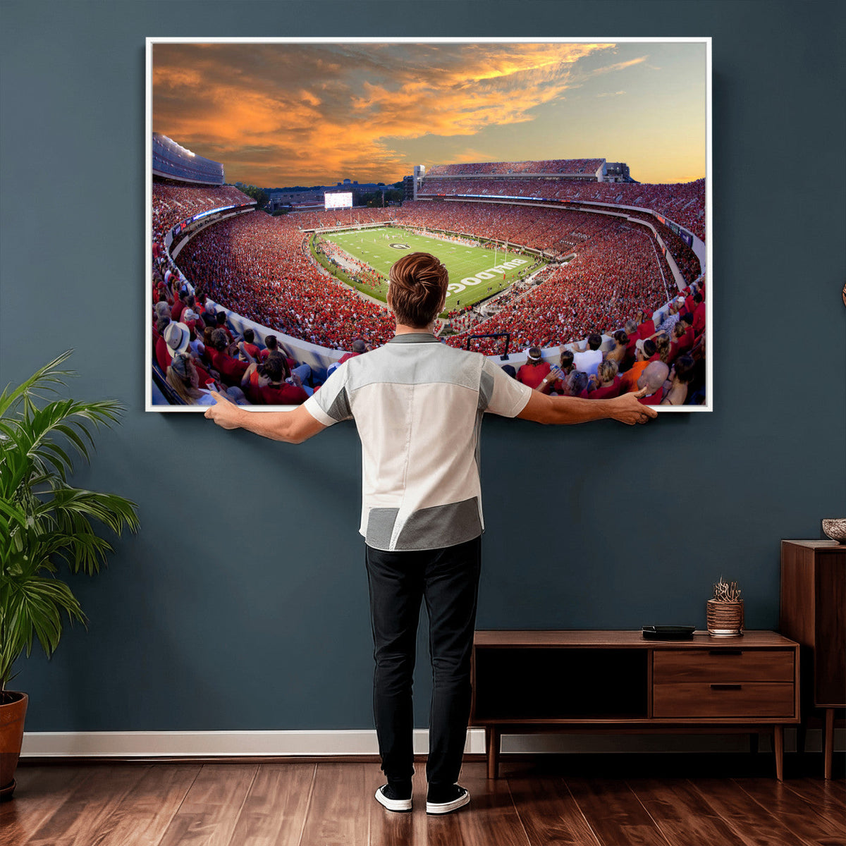 Dooley Stadium Wall Art, Sports Arena Canvas Print, Dooley Field, Framed and Ready to Hang
