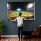 Dooley Stadium Wall Art, Sports Arena Panoramic Canvas
