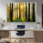 Sunlit Forest Wall Art Canvas Print, Large Framed Woodland Scene with Golden Light