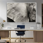 Elephant Wall Art Canvas Print