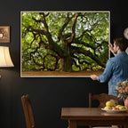 Angel Oak Tree Wall Art Canvas Print | Forest Tree Nature Photography Print