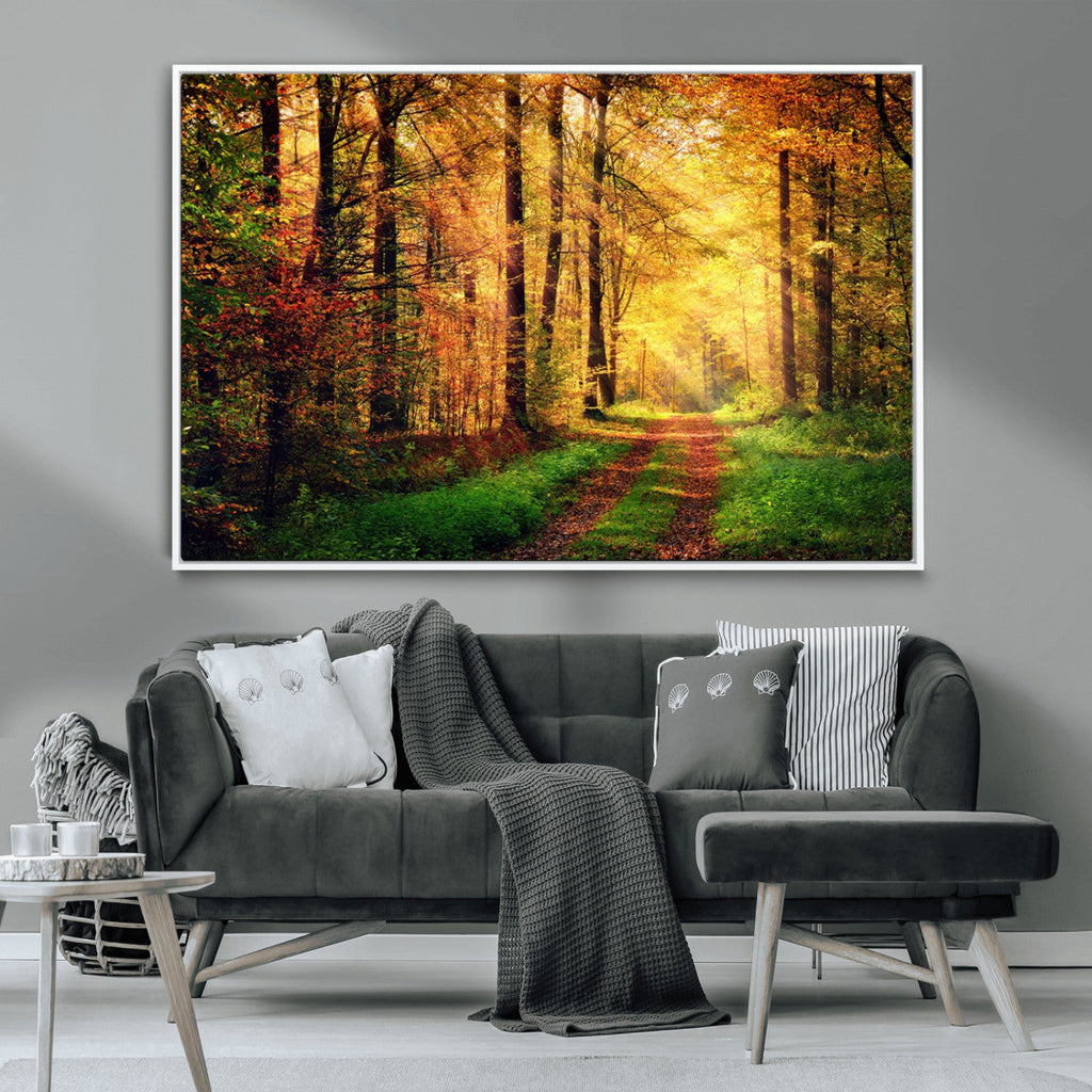 Sunlight Through Trees Wall Art Canvas Print | Autumn Forest Wall Art