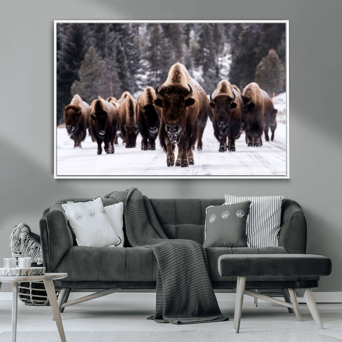 Bison Wall Art Canvas Print, Bison Herd Canvas Wall Art