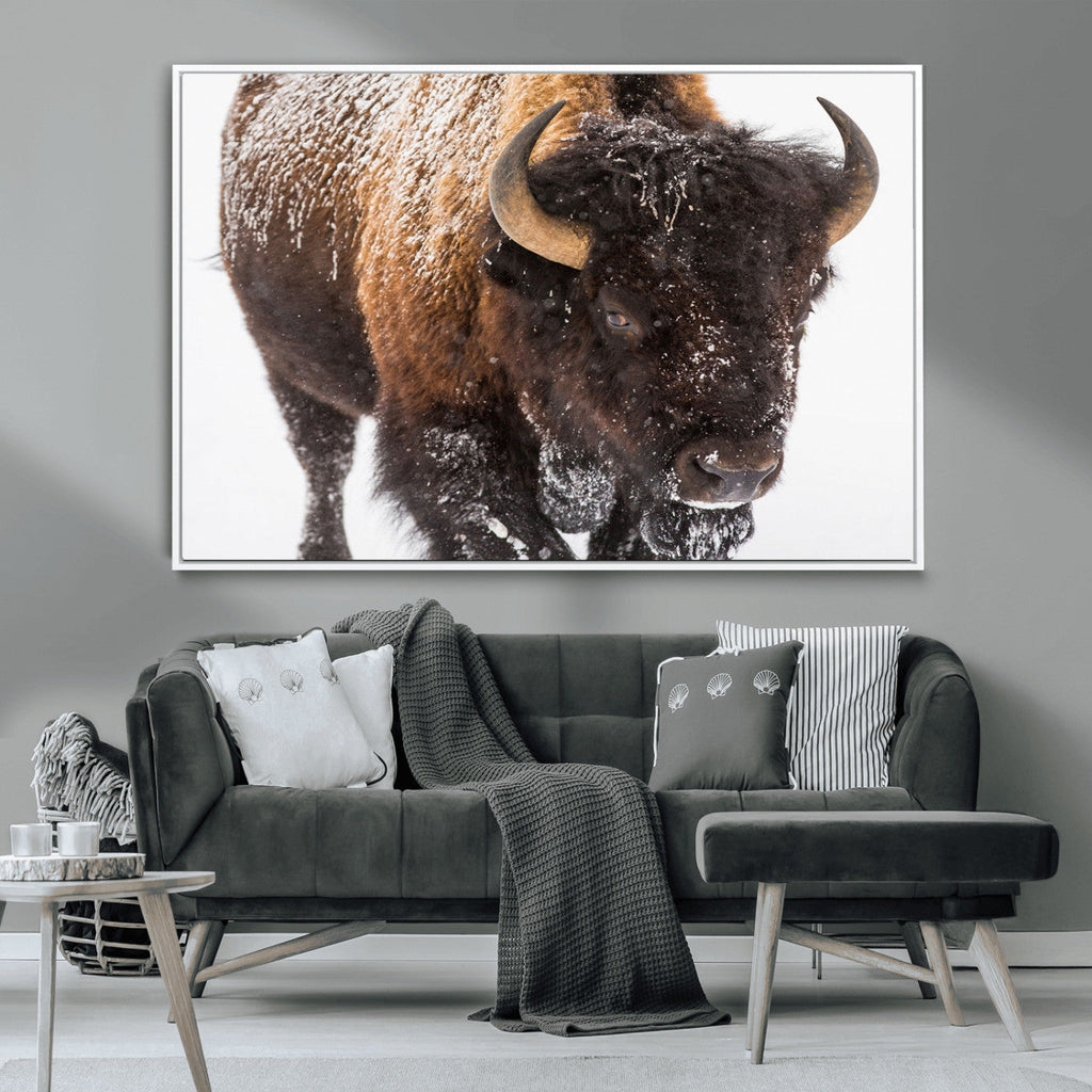 Bison Wall Art Canvas Print For Farmhouse, Wild Animal Wall Art