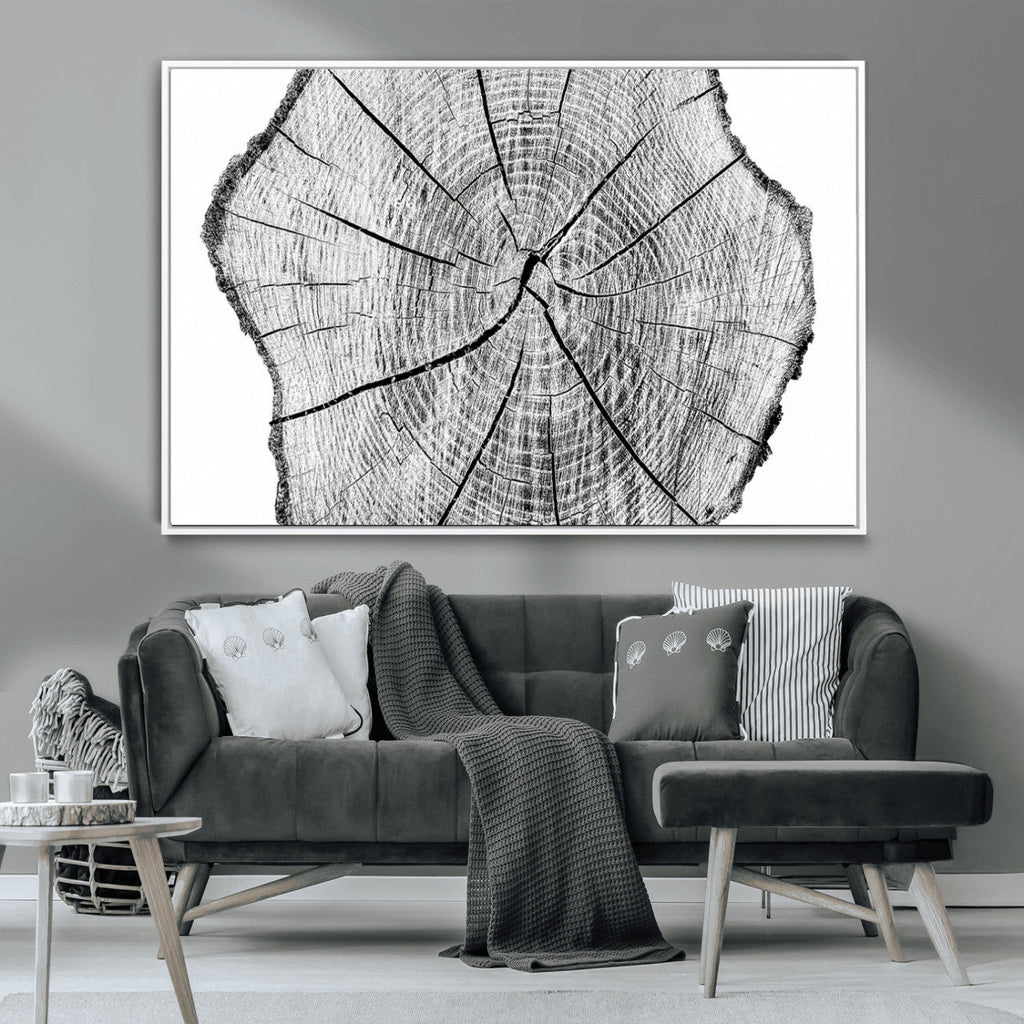Rustic Tree Ring Wall Art Canvas Print, Framed and Ready to Hang
