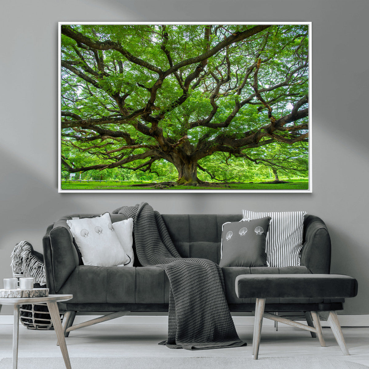 Ancient Tree Wall Art Canvas Print, Framed Sprawling Branches