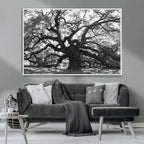 Ancient Oak Wall Art Canvas Print | Gnarled Tree with Twisted Branches