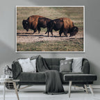 Bison Wall Art Canvas Print, Framed Western Wildlife Modern Ranch