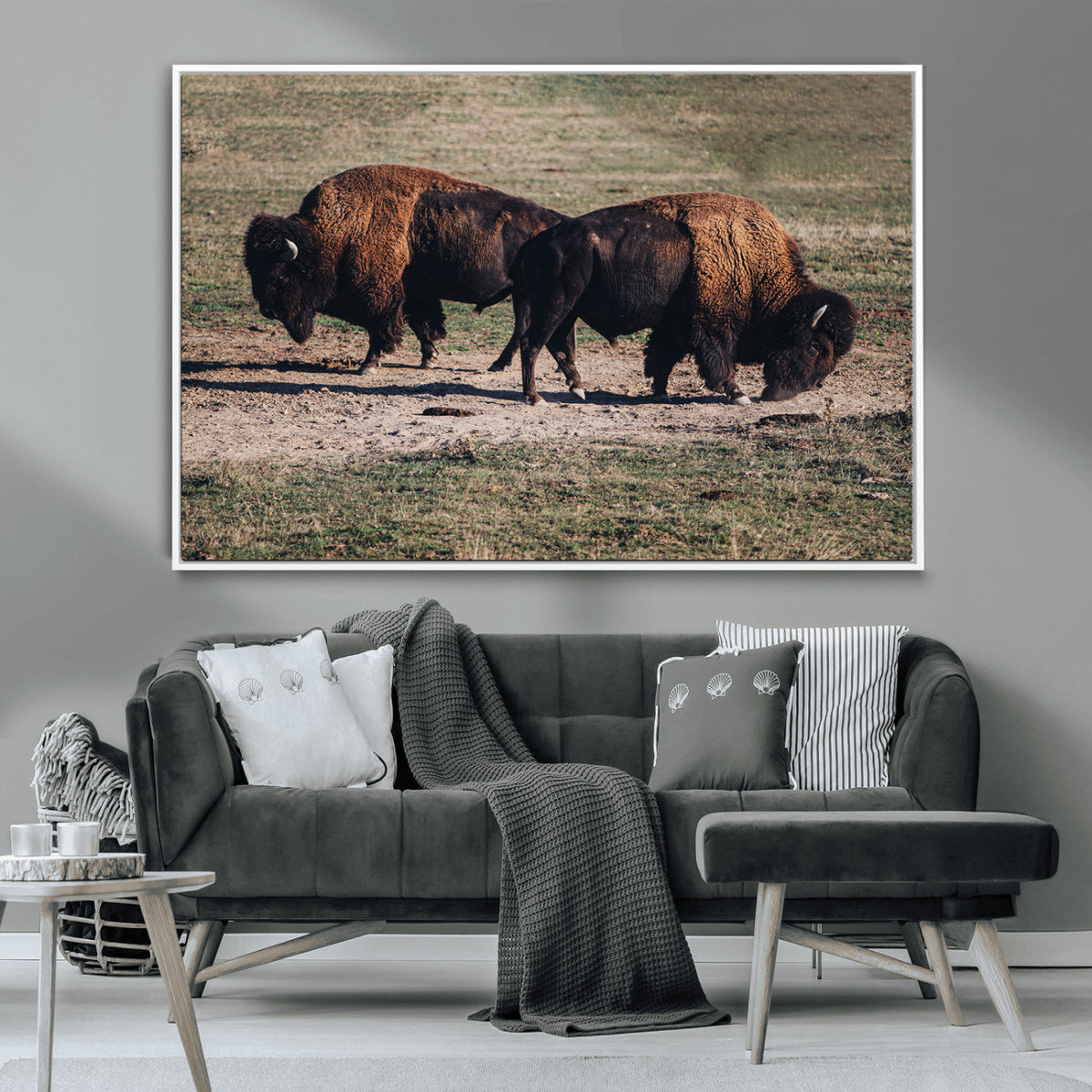 Bison Wall Art Canvas Print, Framed Western Wildlife Modern Ranch