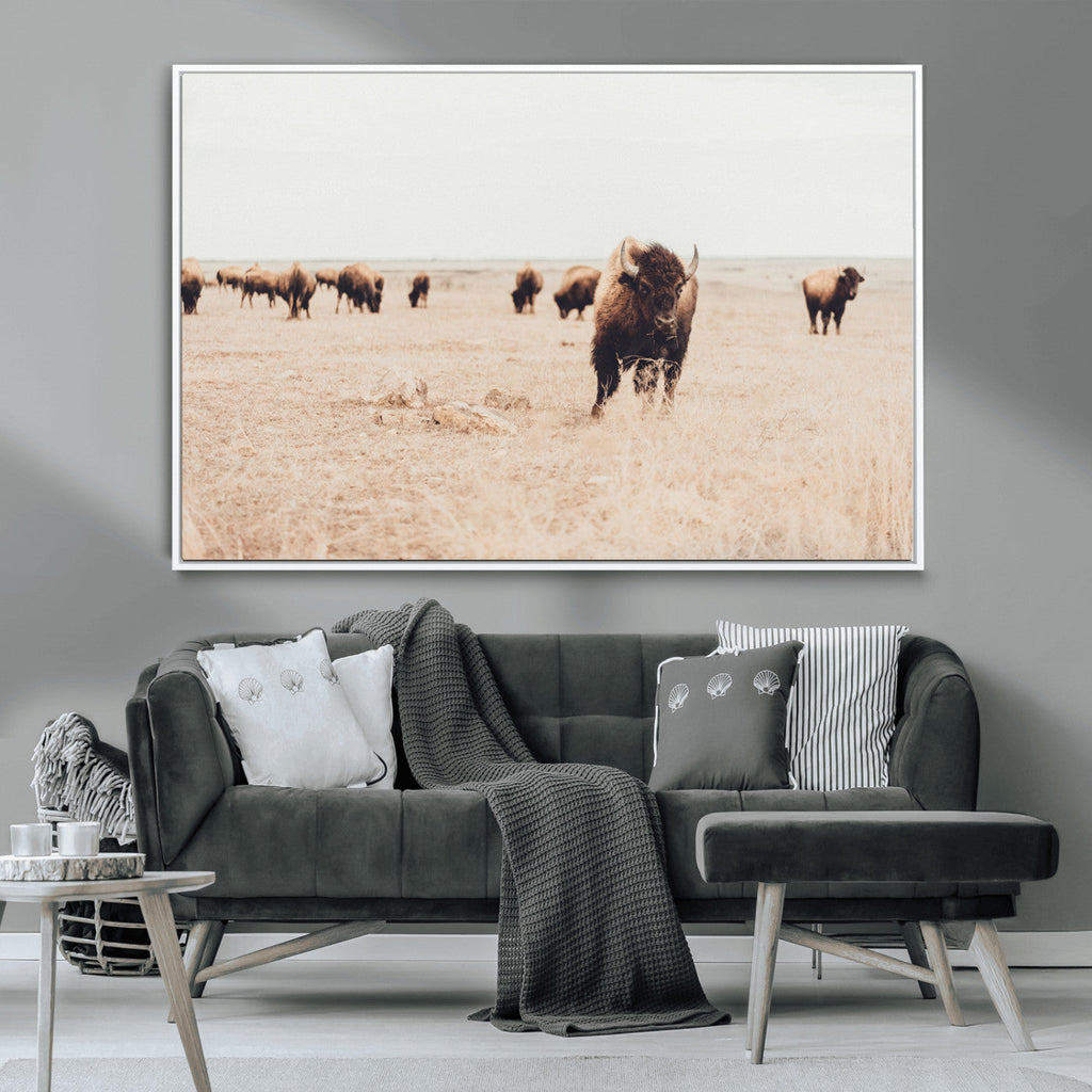 Bison Herd Wall Art Canvas Print, Framed Western Prairie Serenity