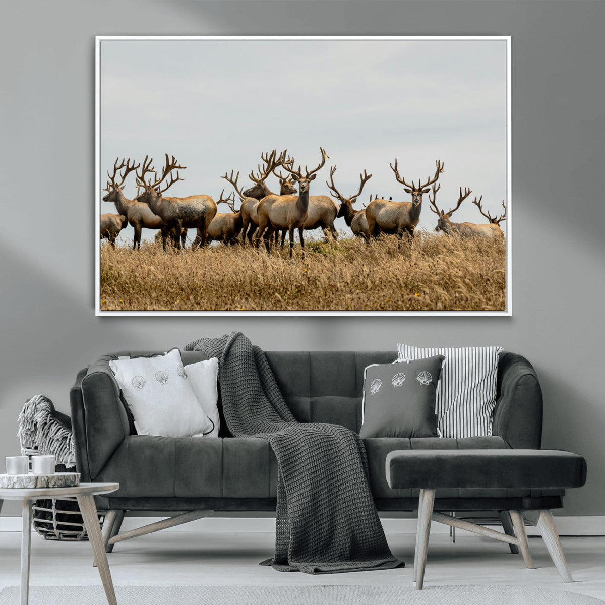 Elk Herd Wall Art Canvas Print, Framed Wildlife Photography Art, Majestic Antlers Rustic Wildlife Decor