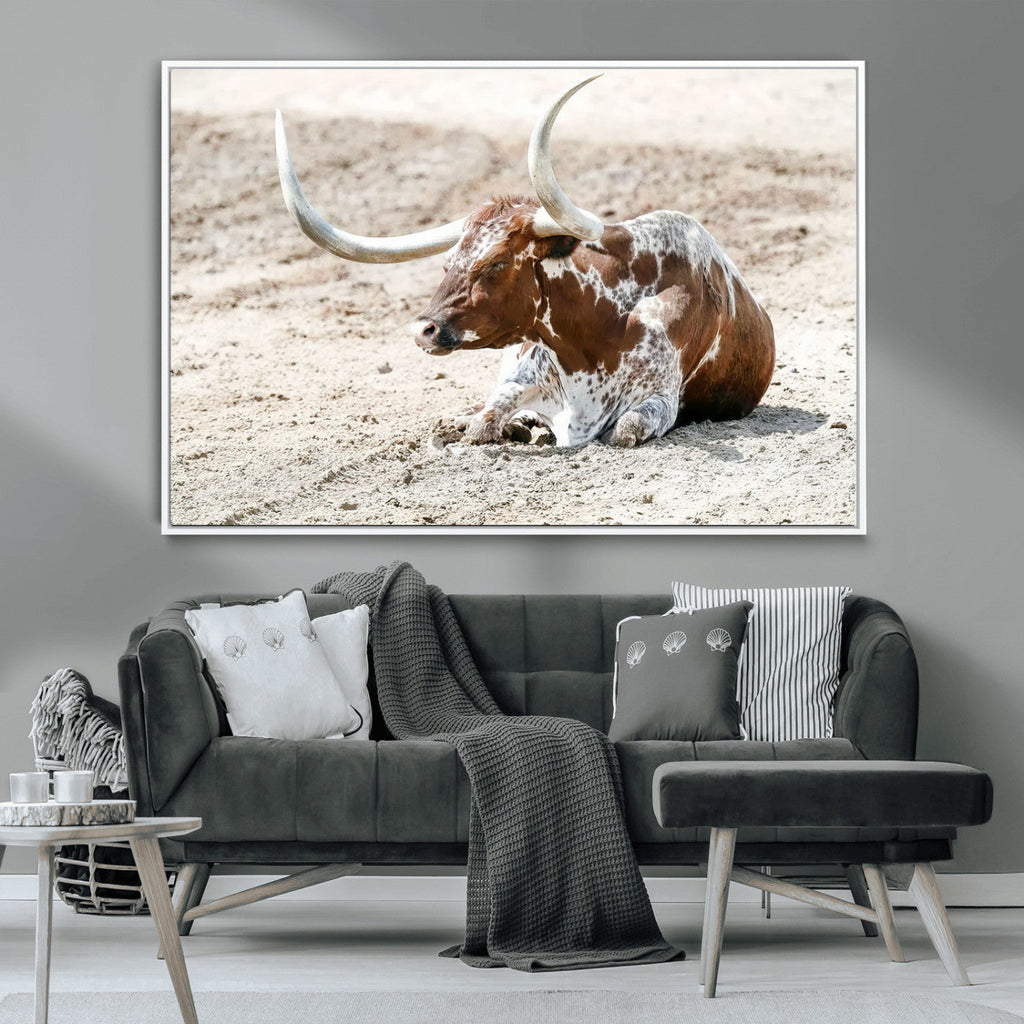 Majestic Longhorn Wall Art Canvas Print, Resting on Sunlit Desert Ground