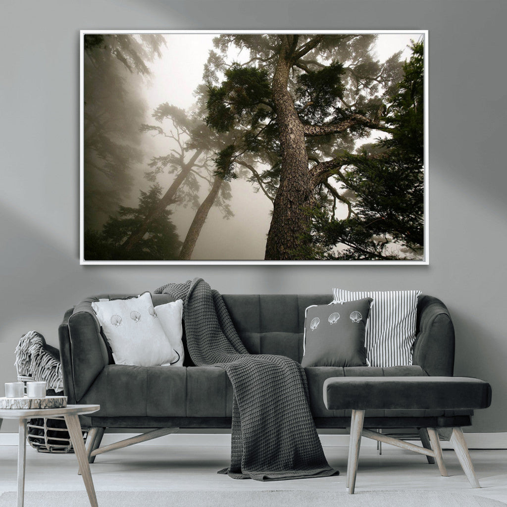 Misty Forest Wall Art Canvas Print, Framed Tall Trees in Foggy Atmosphere