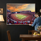 Dooley Stadium Wall Art, Sports Arena Canvas Print, Dooley Field, Framed and Ready to Hang