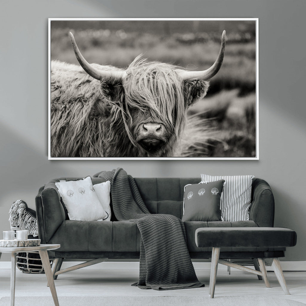 Cow Focus Canvas Wall Art Print