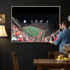 Houston Cougars Football Team Print, Houston TDECU Stadium