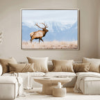 Elk Photography Wall Art Canvas Print, Framed Mountain Wildlife Art, Rustic Lodge Decor