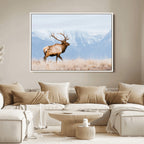 Elk Photography Wall Art Canvas Print, Framed Mountain Wildlife Art, Rustic Lodge Decor