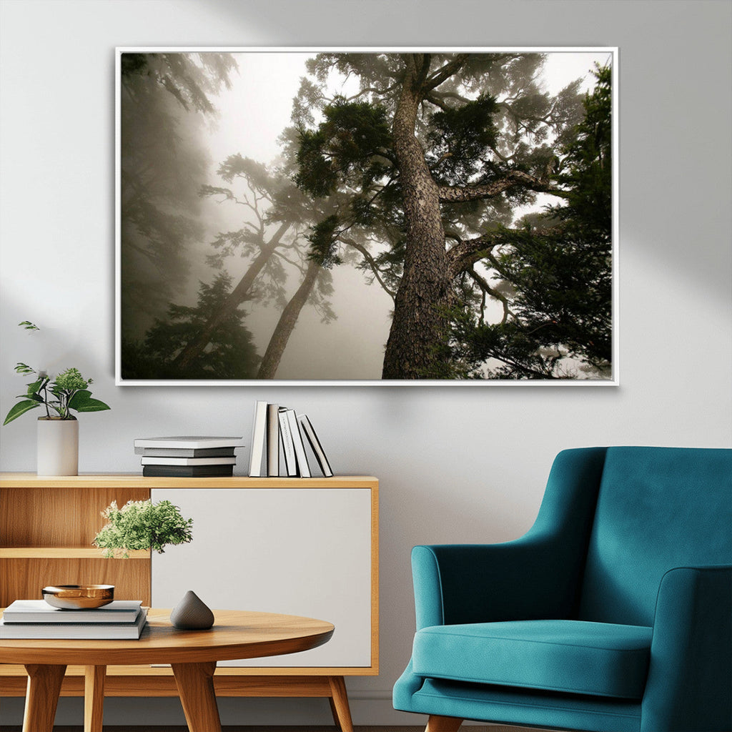 Misty Forest Wall Art Canvas Print, Framed Tall Trees in Foggy Atmosphere