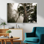 Misty Forest Wall Art Canvas Print, Framed Tall Trees in Foggy Atmosphere