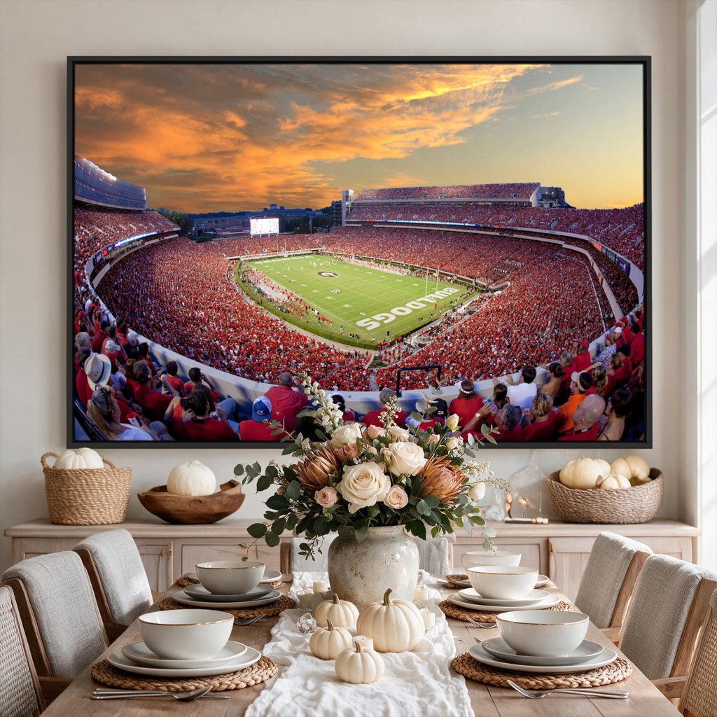 Dooley Stadium Wall Art, Sports Arena Canvas Print, Dooley Field, Framed and Ready to Hang