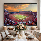 Dooley Stadium Wall Art, Sports Arena Canvas Print, Dooley Field, Framed and Ready to Hang