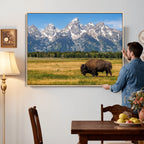 Bison in Mountain Landscape Wall Art Canvas Print, Western Decor