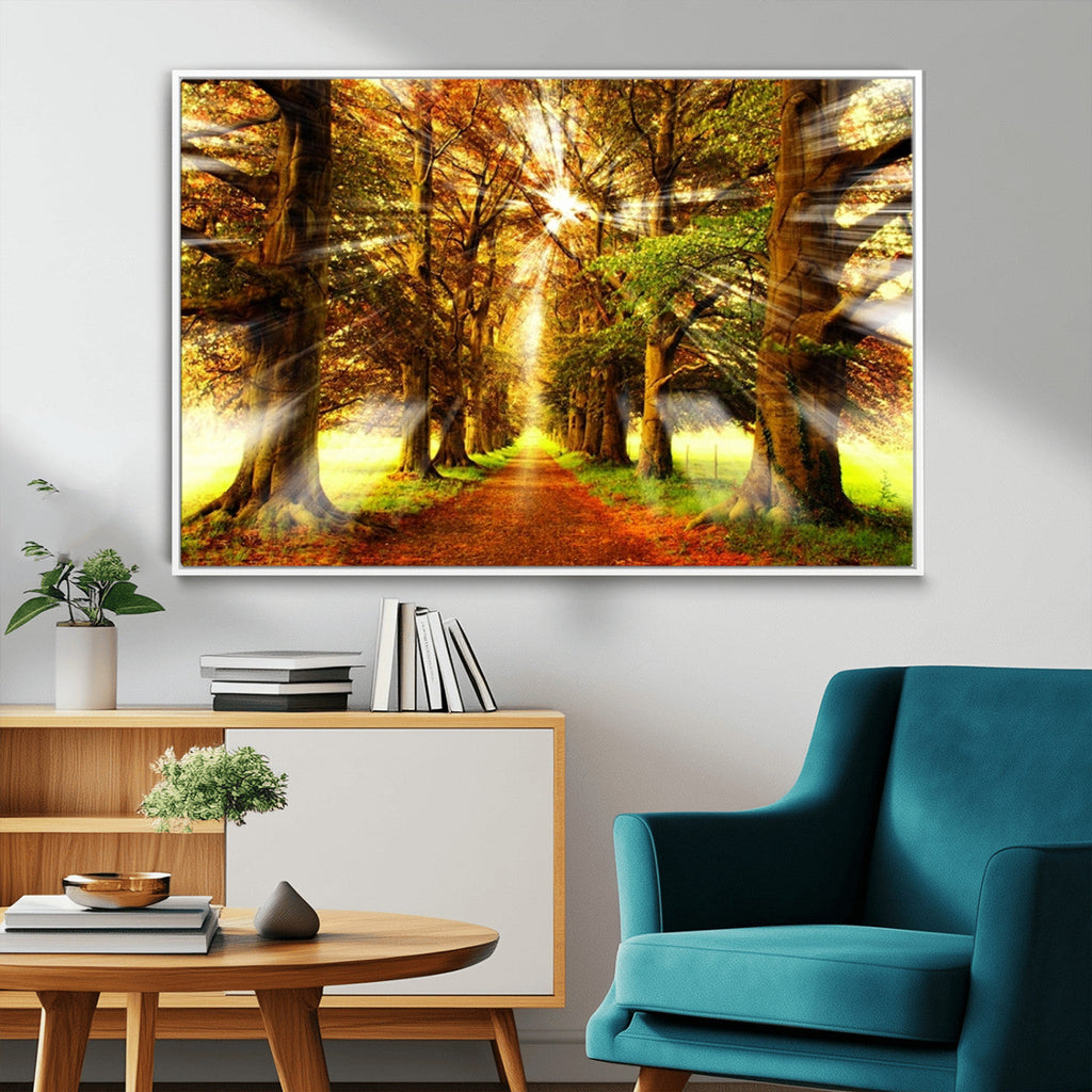 Sunshine in Forest and Trees Wall Art Canvas Print