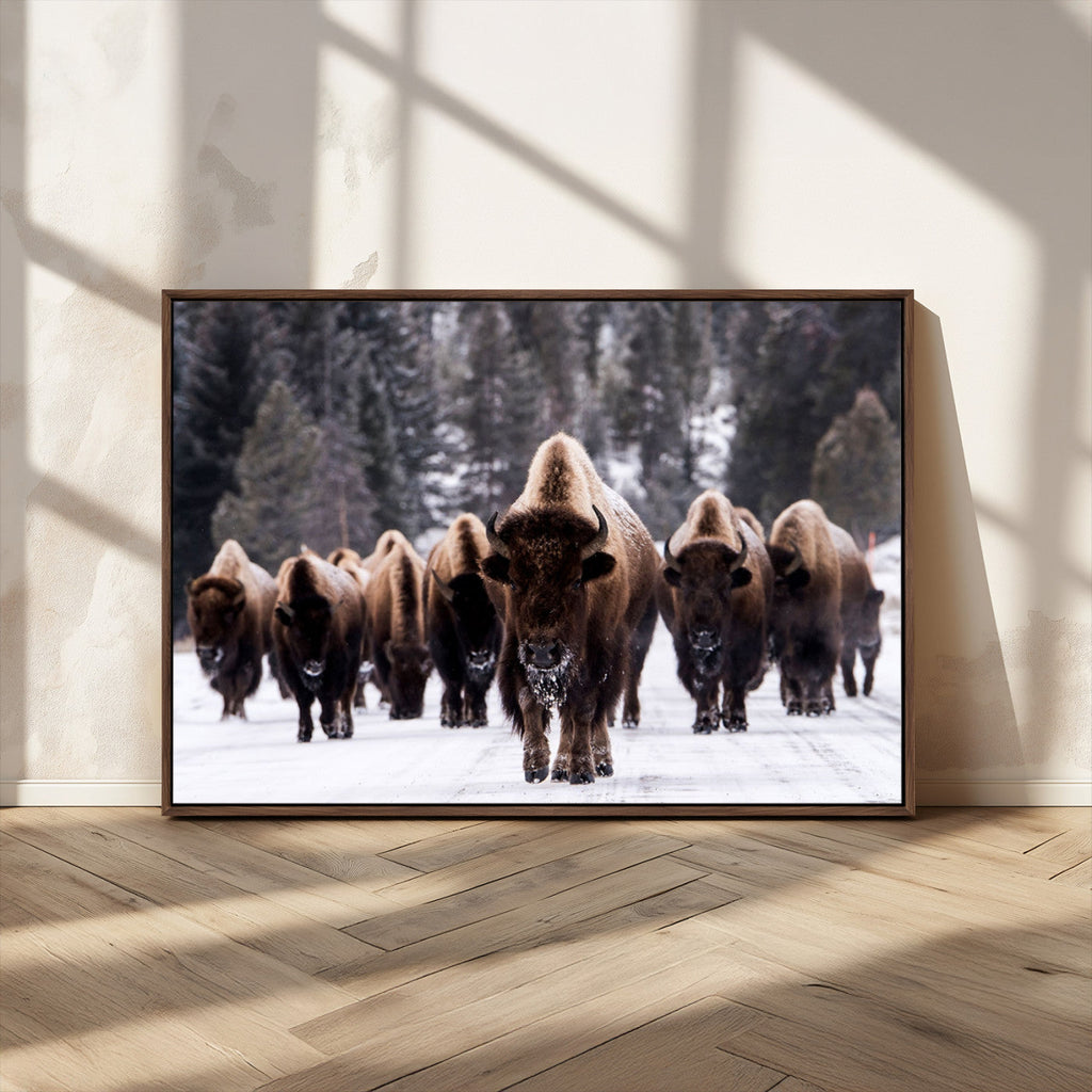 Bison Wall Art Canvas Print, Bison Herd Canvas Wall Art